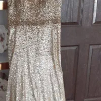شاین دار مجلس