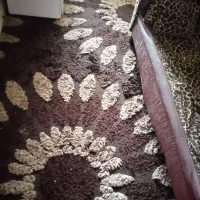 سه قلم وسایل خانه بخاطر کمبود جا|فرش|لاهیجان, لیالستان|دیوار