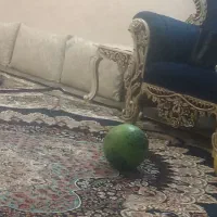 توپ|ورزش‌های توپی|پاکدشت, خاتون آباد|دیوار