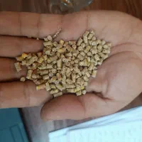 خوراک دام سبک و سنگین و دان آماده انواع طیور