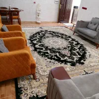 فرش 12متری طرح ابریشم سالم بدون هیچ گونه پوسیدگی|فرش|نهاوند, |دیوار