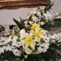 دوسبد گل طبیعی|گل و گیاه طبیعی|تبریز, |دیوار