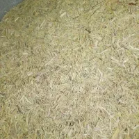 خار نرم|عمده‌فروشی|رضویه, |دیوار