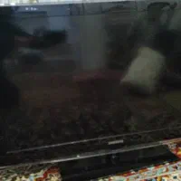 تلوزیون 42اینچ سامسونگ