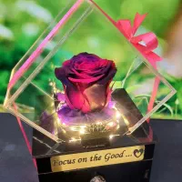 گل رز جاودان طبیعی کشودار موزیکال در رنگ مختلف|گل و گیاه طبیعی|تهران, میدان ولیعصر|دیوار