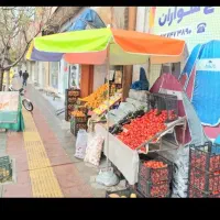 چتر سفری سایبان کافه دایره خیمه رستوران میوه فروش