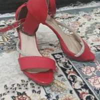 کفش مجلسی|کیف، کفش، کمربند|جوانرود, |دیوار