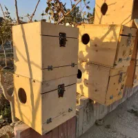 لانه مخصوص انواع طوطی|لوازم جانبی حیوانات|کهریزک, |دیوار