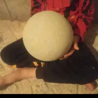 توپ فوتبال ب فروش میرسد