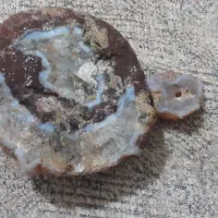 شجر|کلکسیون اشیاء عتیقه|کرج, حصارک پایین|دیوار