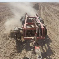 دیکس برزیلی سه ستاره۱۶ پر