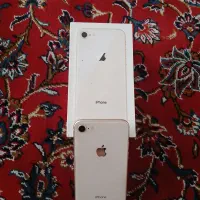 iPhone 8|موبایل|کبودرآهنگ, |دیوار
