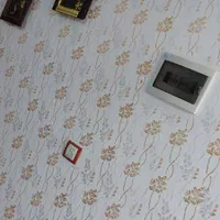 نقاشی ساختمان طرح کاغذدیواری|خدمات پیشه و مهارت|جهرم, |دیوار