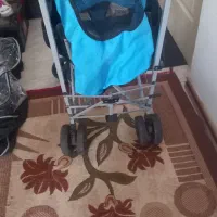 کالسکه دلیجان عصایی