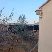 کارگاه-دامداری