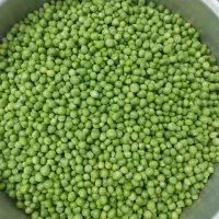 نخود فرنگی و باقالی