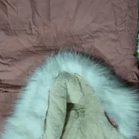 پالتوکلاهدار|لباس|مرودشت, سهل‌آباد|دیوار