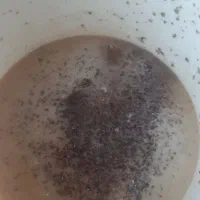 عسل کنار|خوردنی و آشامیدنی|بیرم, |دیوار