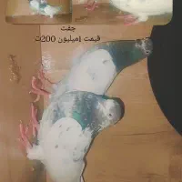 کفتر کلع ای شازده طوقی پلاکی سبز دوخط