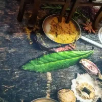 سلام .فرش آشپزخانه.سنگر|فرش|رشت, نیروی دریایی|دیوار