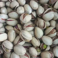 پسته احمدآقایی و اکبری با تخفیف امکان تست قبل خرید|خوردنی و آشامیدنی|قم, بلوار امین و ساحلی|دیوار