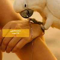 دستبندهای خوش وزن و کم اجرت طــلای علی