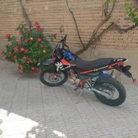 کویرتی دومشکی صفرصفر