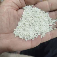 برنج هاشمی اصل درجه یک|خوردنی و آشامیدنی|میاندوآب, |دیوار