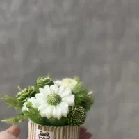 شمع|صنایع دستی و سایر لوازم تزئینی|شیروان (خراسان), |دیوار