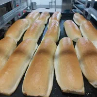 جذب همکار اقا در نان فانتزی منسوبی