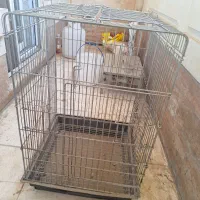 قفس پرنده