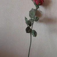 لوازم منزل و شخصی|سایر لوازم برقی|شیراز, میانرود|دیوار