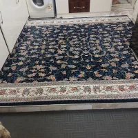 فرش پنج متری یکسال خریداری شده
