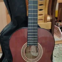 گیتار در حد