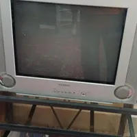 تلویزیون