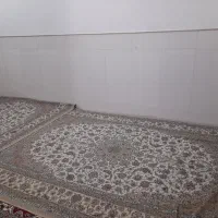سوئیت جمکران،مستقل|اجارهٔ کوتاه‌مدت آپارتمان و سوئیت|قم, جمکران|دیوار