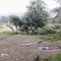 زمین