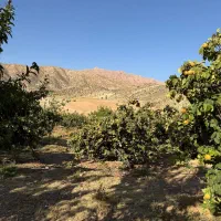 باغشهری-1000-متری-نزدیک-ده-شیخ