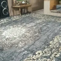 روفرشی ۱۲ متری