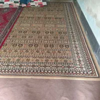 قالی