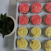 دسر،کاپکیک،چیز کیک،ژله