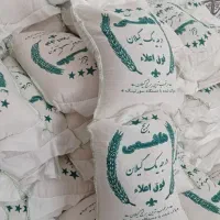 برنج هاشمی گیلان