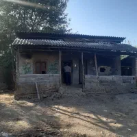 اجاره دامداری ضایعاتی