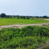 زمین کشاورزی برِ جاده  روستای گل زرد