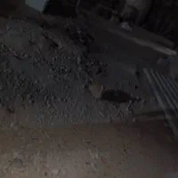 خرگوش|موش و خرگوش|برازجان, |دیوار