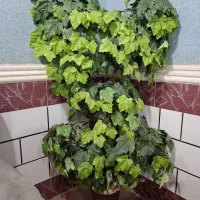 درختچه مصنوعی و گلدان شیشه ای و فرفژه