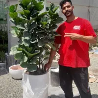 گلخانه تولیدی ارزان