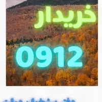 خریدار سیمکارت ۰۹۱۲