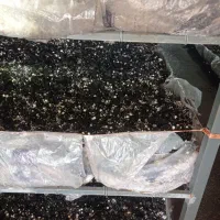 کمپوست مصرف شده قارچ|خدمات باغبانی و درختکاری|دزفول, |دیوار