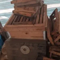 کندوی زنبور عسل قیمت خیلی مناسب